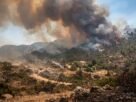 Incêndios florestais na Europa durante onda de calor em 2026